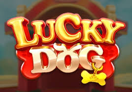 Lucky Dog